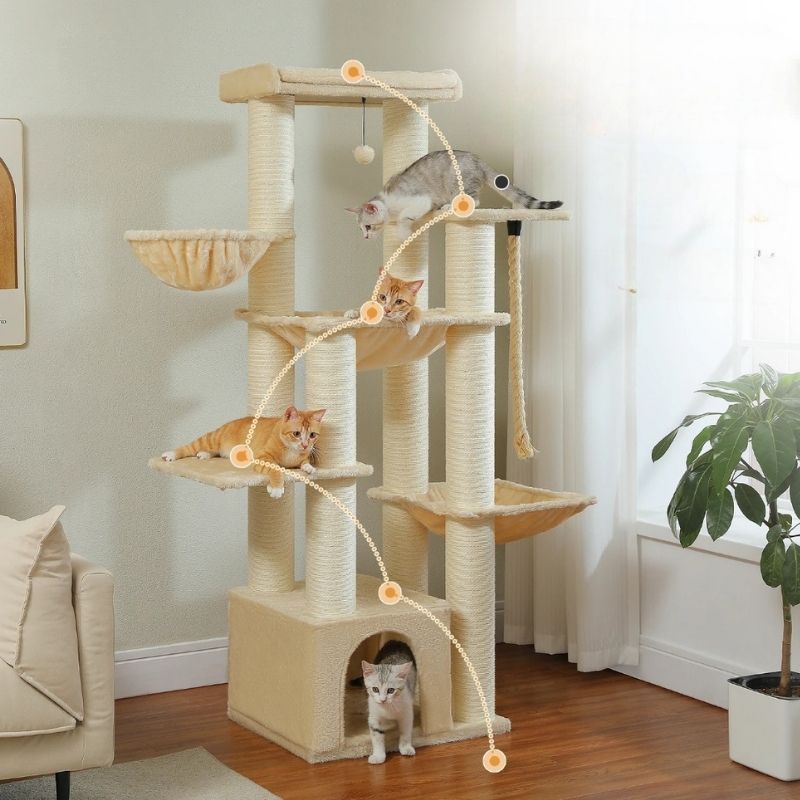 Arbre à chat pour Maine Coon ou plusieurs chats- 170 cm