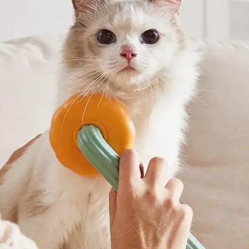 Brosse pour chat - Massante