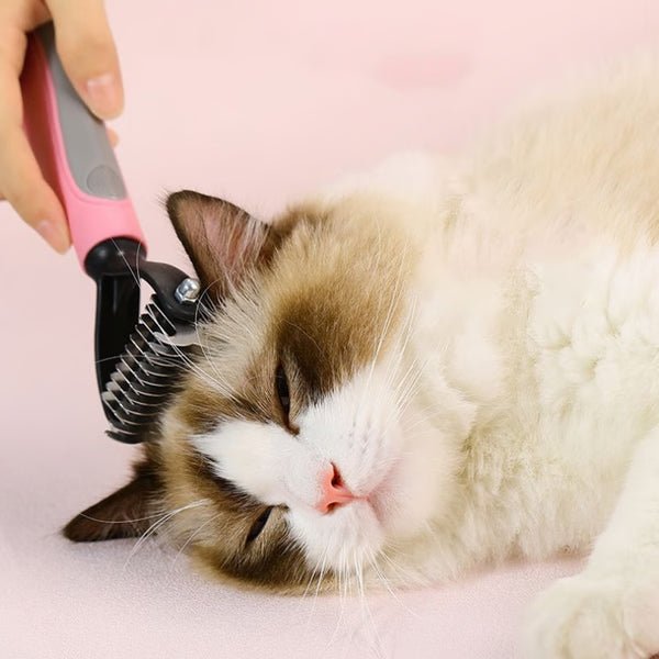 Brosse chat poil long