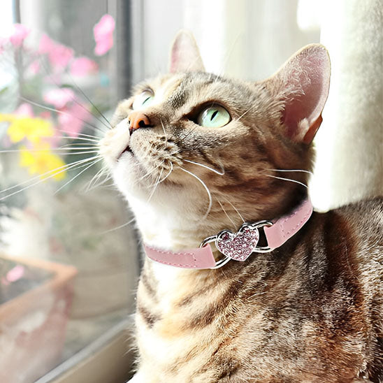 Collier chat - Avec coeur en strass