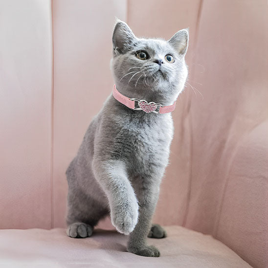Collier chat - Avec coeur en strass
