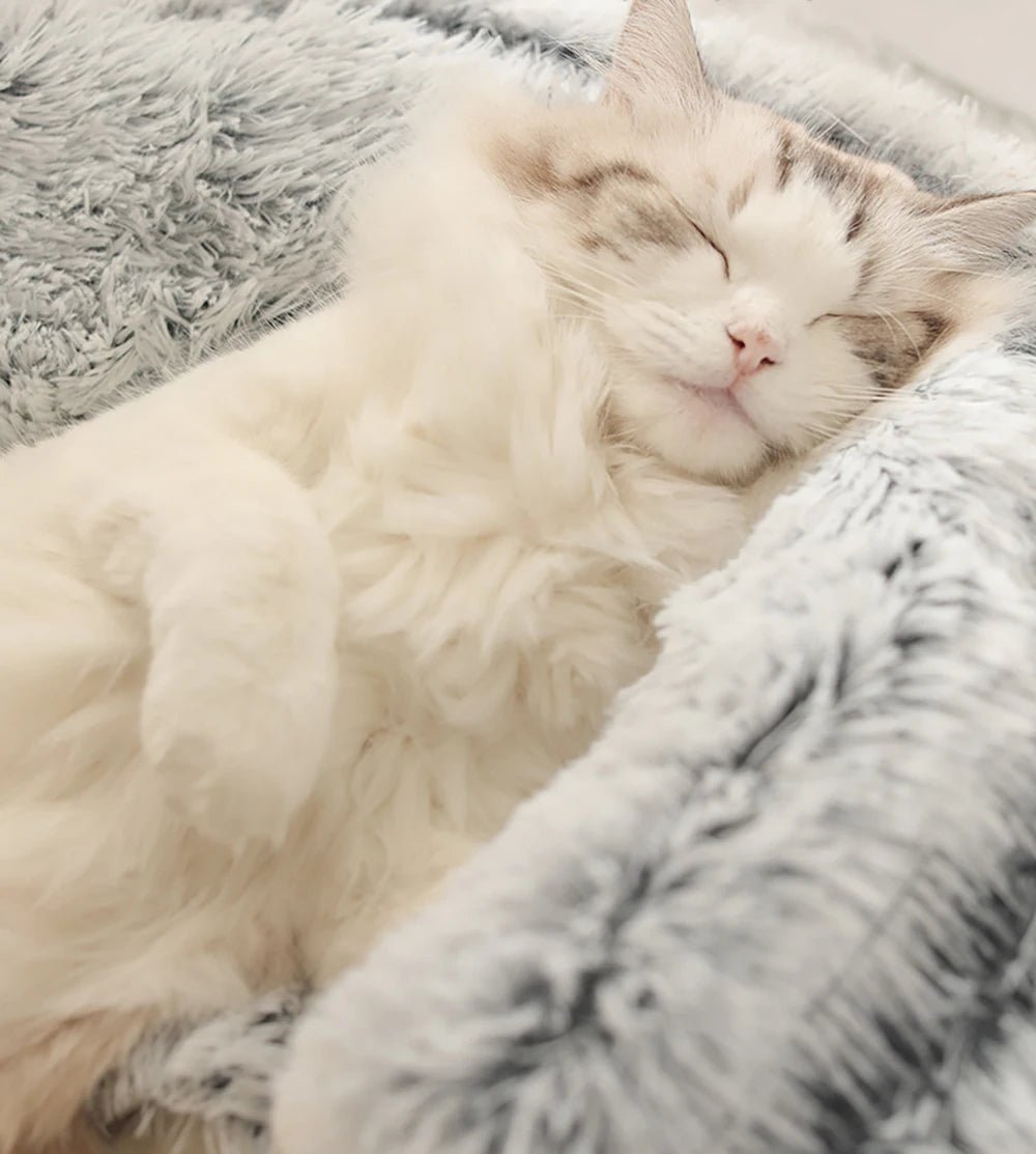 Coussin pour chat chauffant