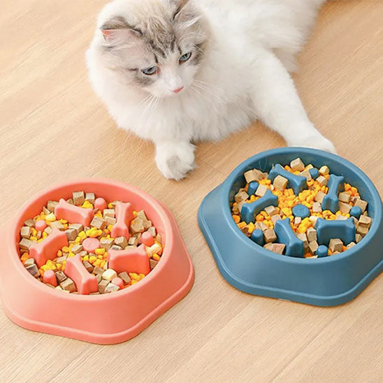 Gamelle anti-glouton chat - Ludique