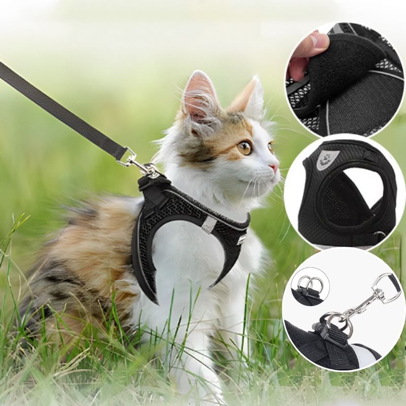 Harnais pour chat anti-fugue - Respirant