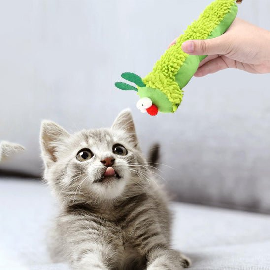Jouet pour chaton - Peluche chenille