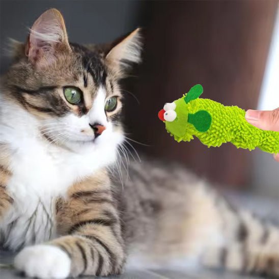 Jouet pour chaton - Peluche chenille