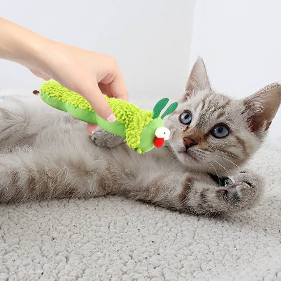 Jouet pour chaton - Peluche chenille
