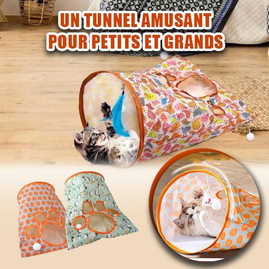Mini-tunnel-pour-chat
