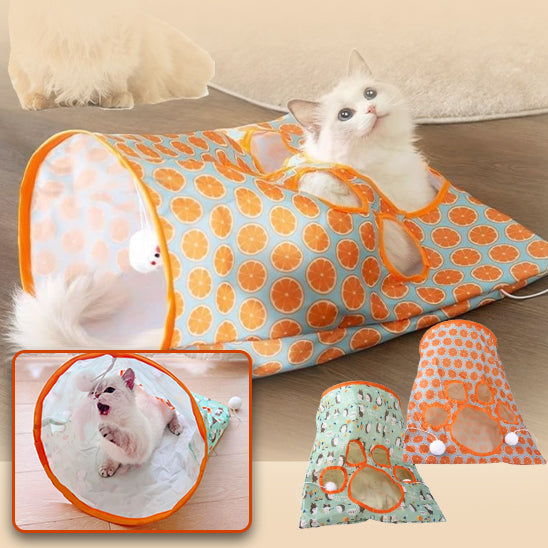 Mini-tunnel-pour-chat