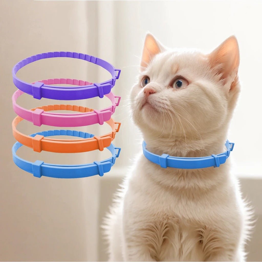 Chat blanc avec collier anti-puce bleu - Colliers anti-puces empilés colorés en arrière-plan