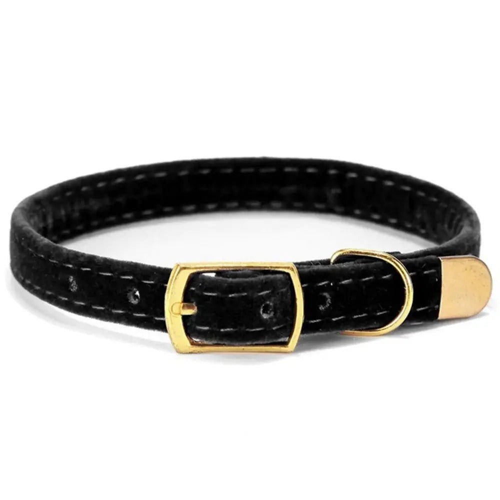 Collier pour chat - Floqué