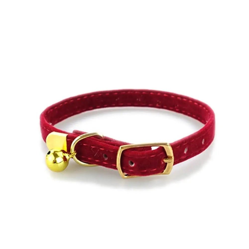 Collier pour chat - Floqué