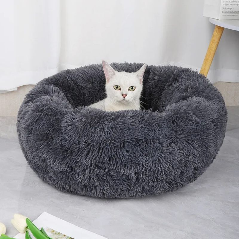Coussin pour chat