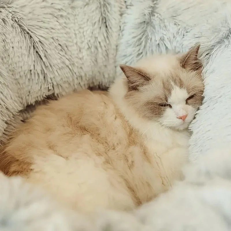 Coussin-chat-reposant