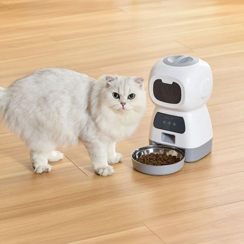 Chat blanc à poils longs debout à côté d’un Distributeur de croquettes pour chat intelligent blanc, avec gamelle en inox remplie de croquettes.