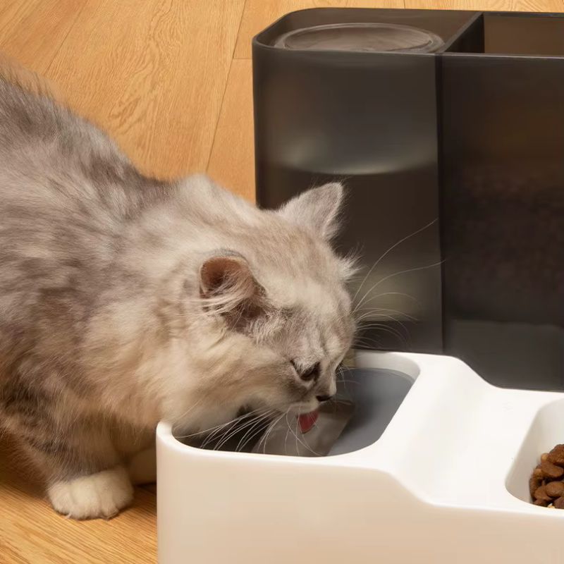 Distributeur de croquettes pour chat - 2 en 1