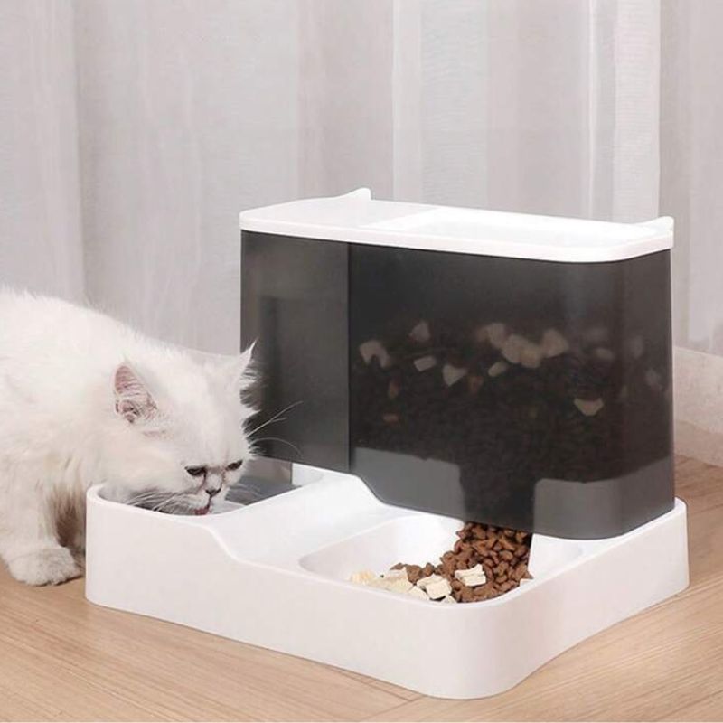 distributeur-de-croquettes-pour-chat-design