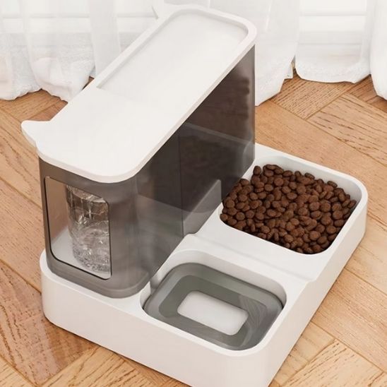 distributeur-de-croquettes-pour-chat-transparent
