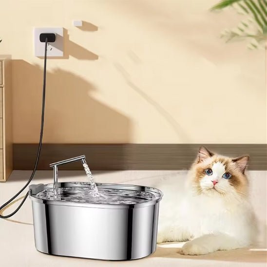Fontaine à eau chat inox rechargeable USB