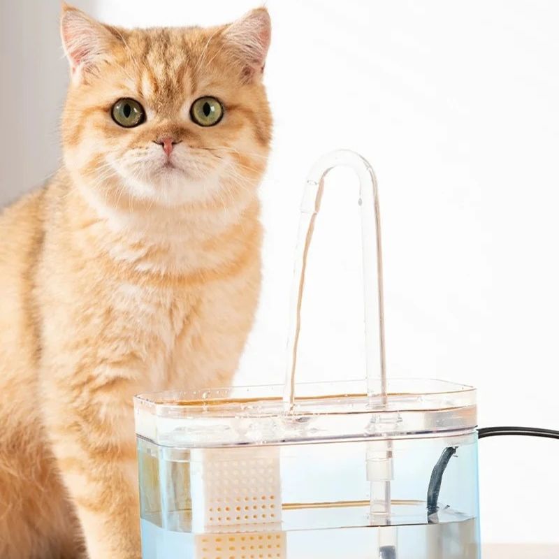 fontaine-a-eau-chat-avec-pompe