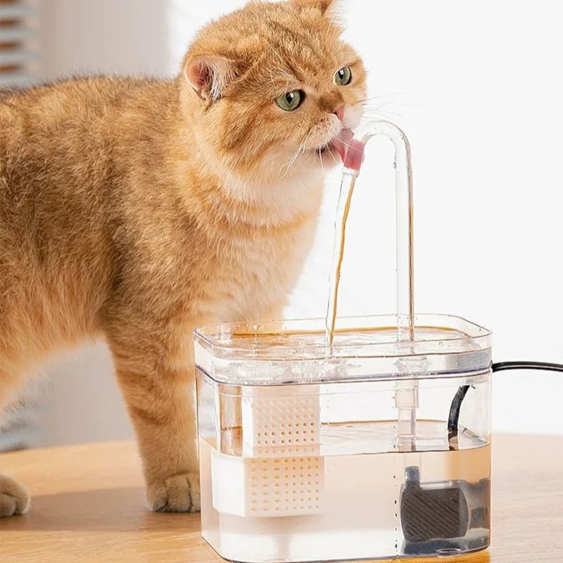 fontaine-a-eau-chat-hydratente