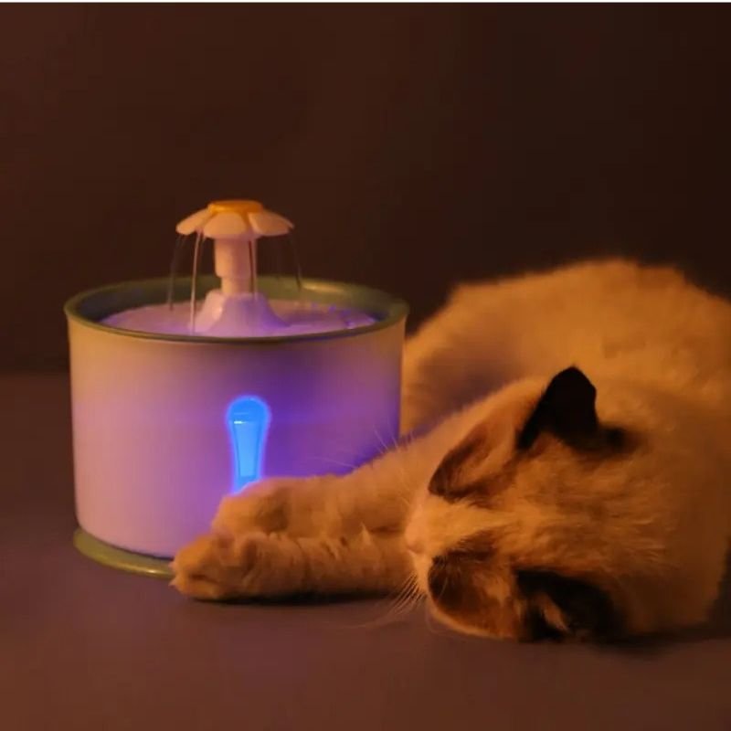 Chat allongĂ© prĂšs dâune fontaine Ă eau pour chat Ă©clairĂ©e dâune lumiĂšre colorĂ©e dans une ambiance sombre et apaisante.