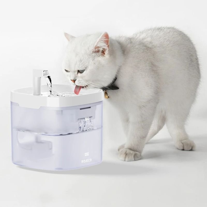 Fontaine à eau chat au design minimaliste, utilisée par un chat dans un décor lumineux.