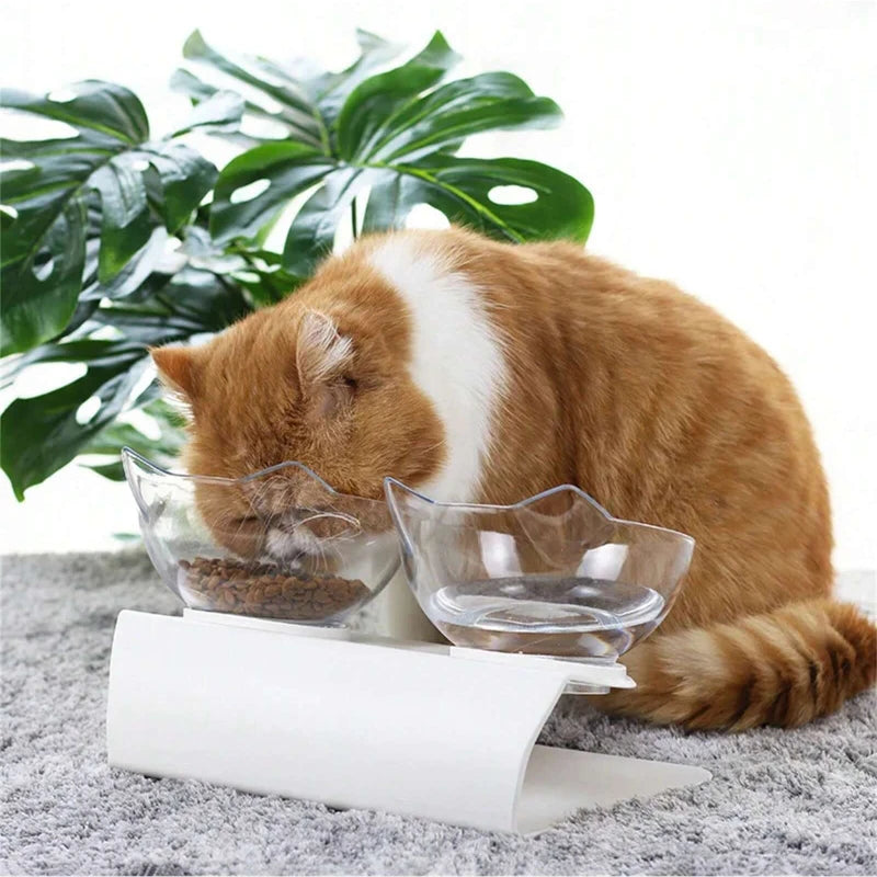 Gamelle pour chat avec support antidérapant pour plus de stabilité
