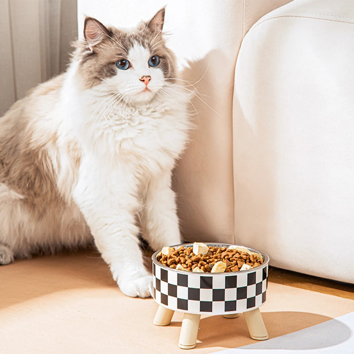 gamelle-chat-confort-repas