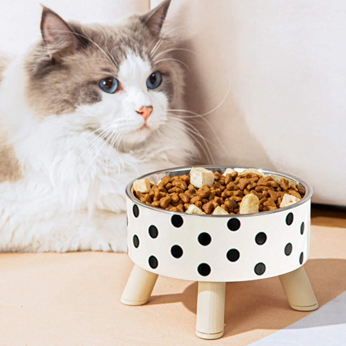 gamelle-chat-design-pois