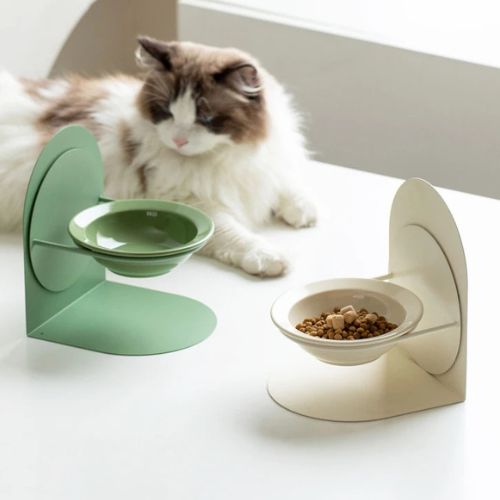 Chat se reposant à côté d’une gamelle chat surélevée, intégrée harmonieusement dans un espace repas minimaliste.