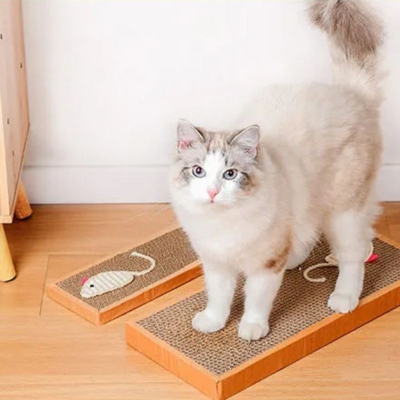 griffoir-chat-carton-ondule