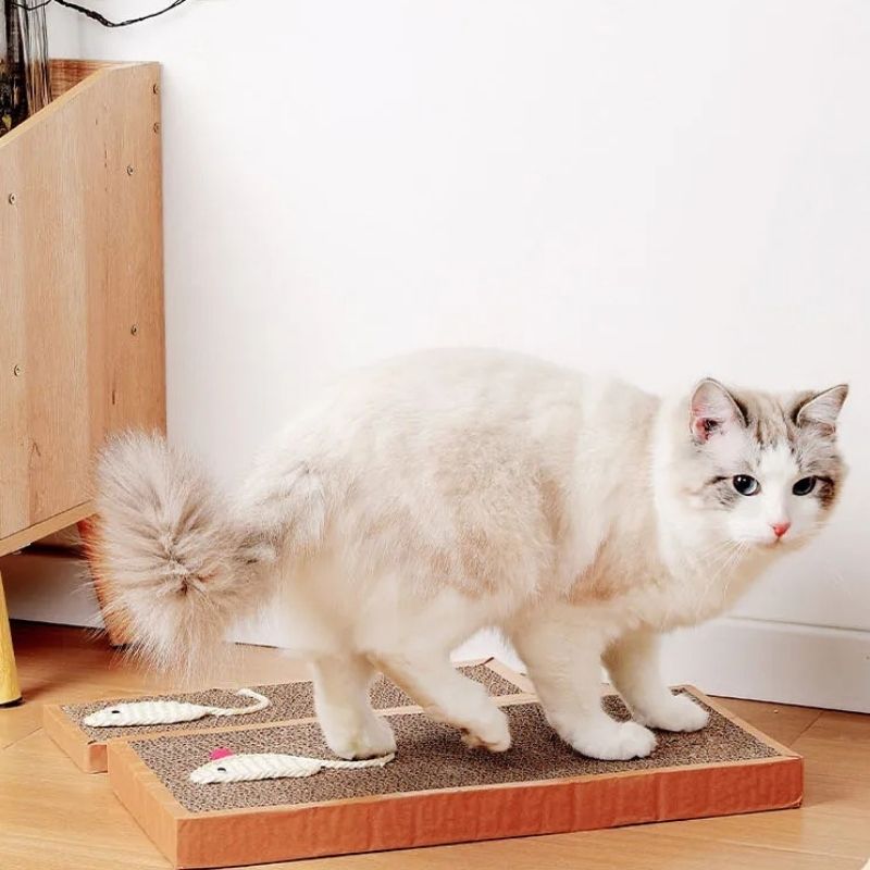 griffoir-chat-polyvalent