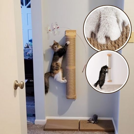 Griffoir pour chat - Poteau mural