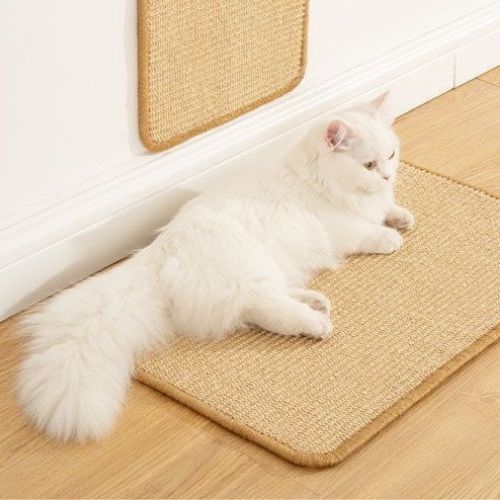 Griffoir pour chat - Paws Scratch