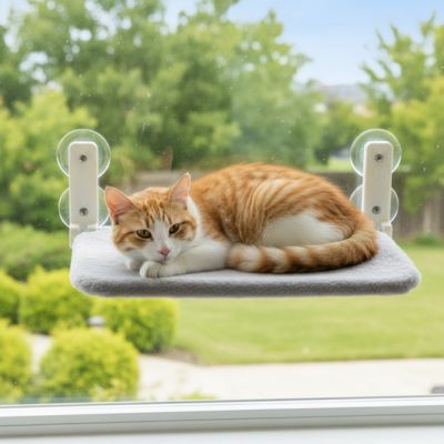 hamac pour chat fenĂȘtre ergonomique, design suspendu en hauteur, stimule lâobservation et la dĂ©tente