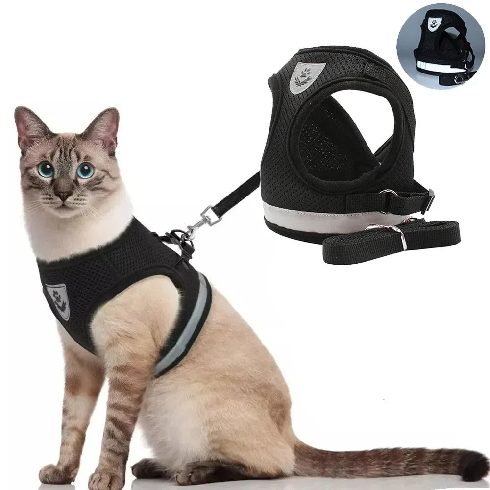 Harnais pour chat anti-fugue - Respirant