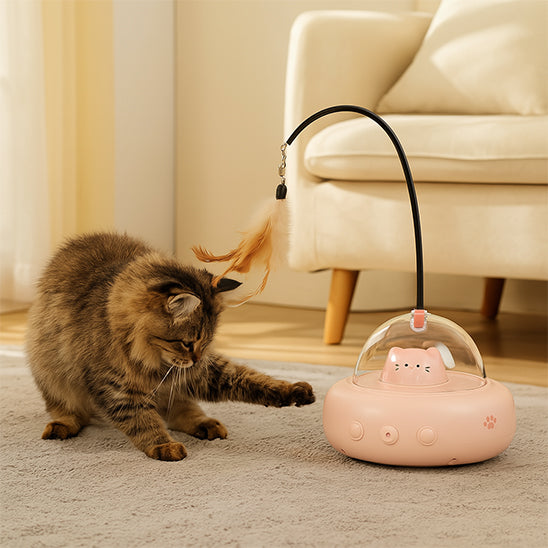 Jouet pour Chat - Secoupe interactive