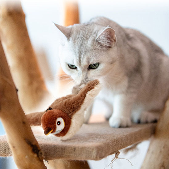 Oiseau pour chat - Ailes Battantes