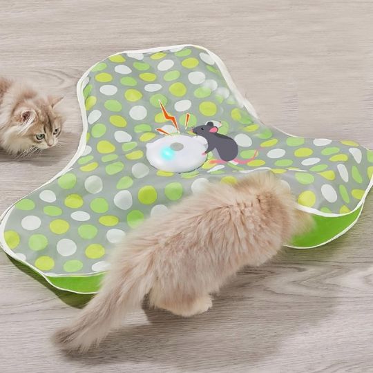 Jouet chat - Tapis cache-cache