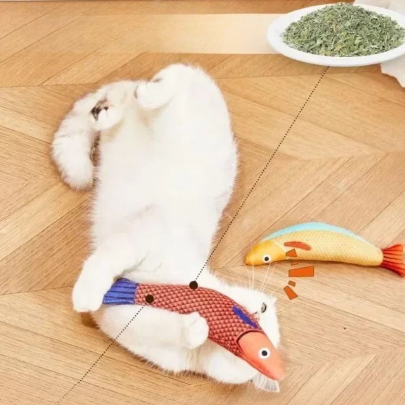 Jouet chat - Poisson Stimulant