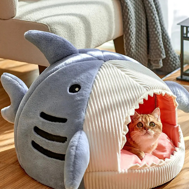 niche-pour-chat-bleu