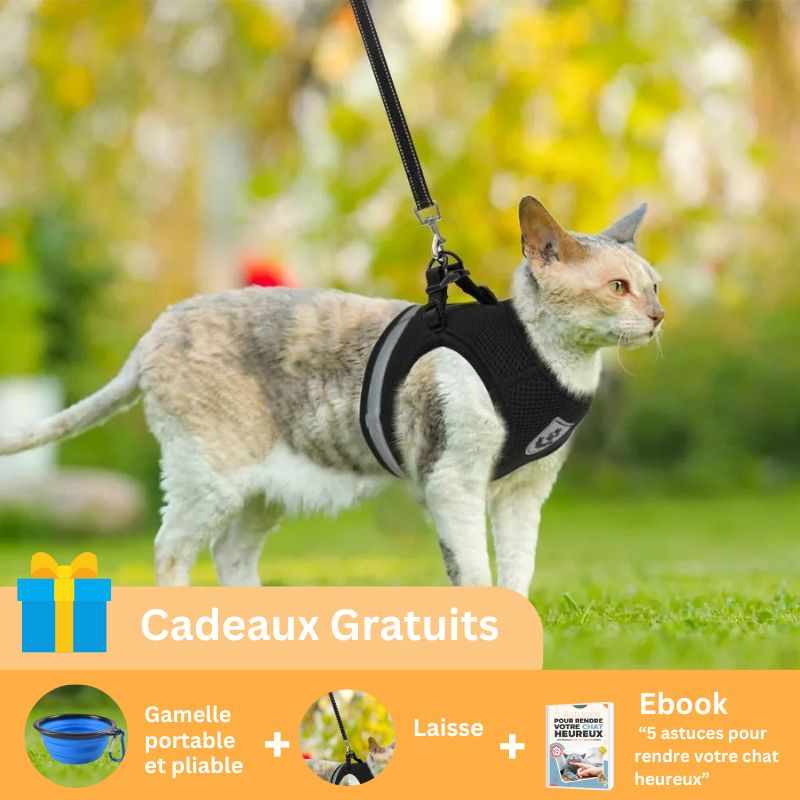 Harnais pour chat anti-fugue - Respirant