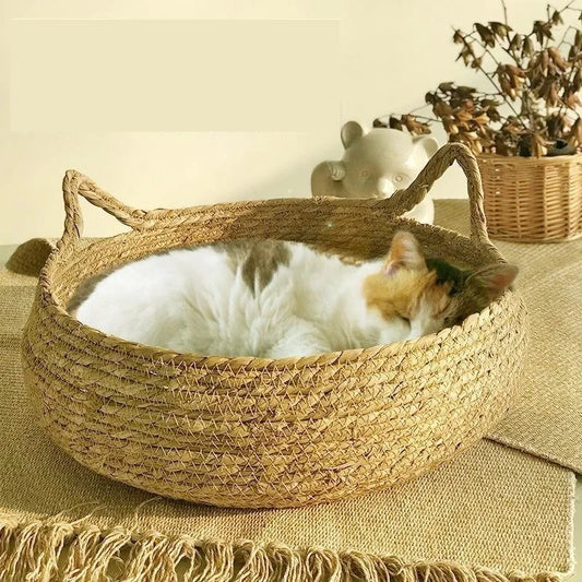 Un chat qui dort dans un panier pour chat