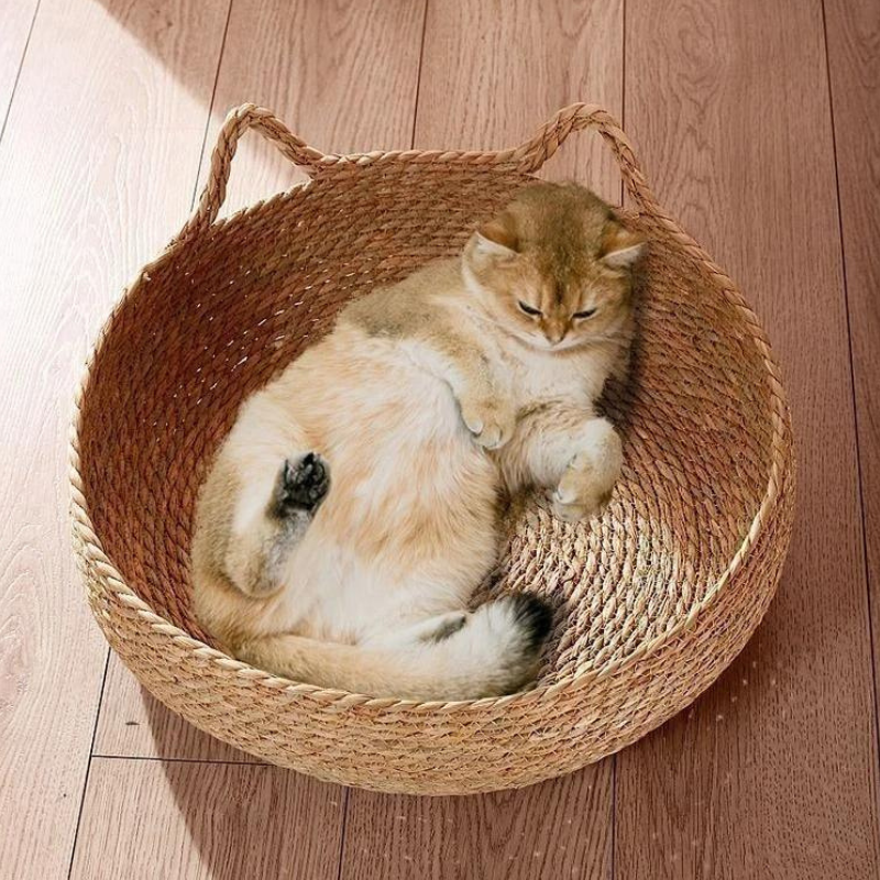 un chat allongé dans un panier pour chat en rotin