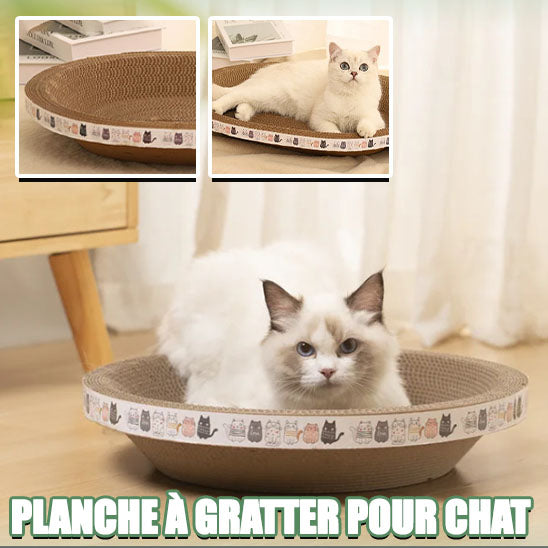 Panier-pour-chat-grattoir