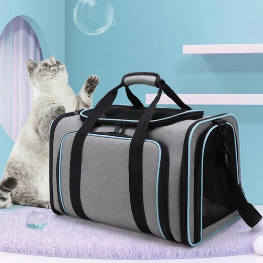 sac de transport pour chat