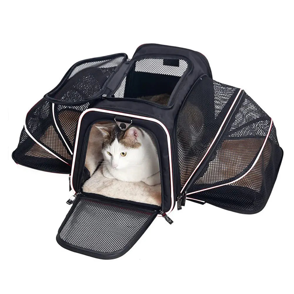 sac de transport pour chat extensible