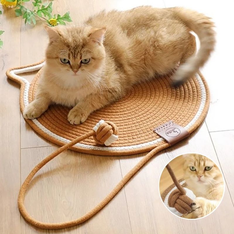 Tapis griffoir chat - Pour Sol et Mur