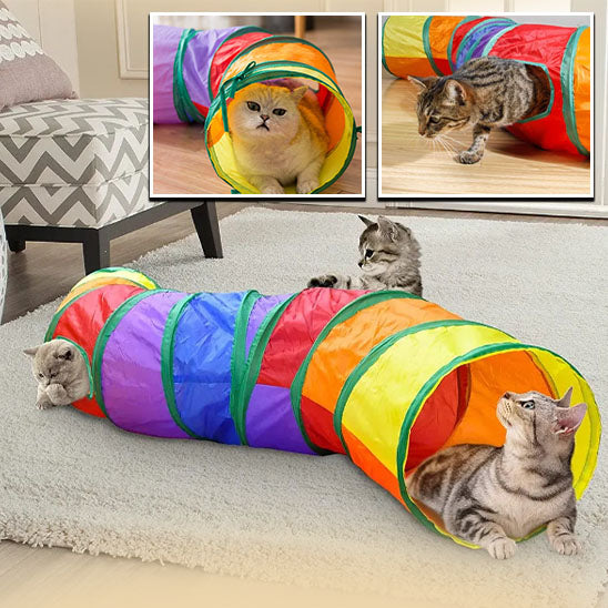 tunnel-jeu-pour-chat